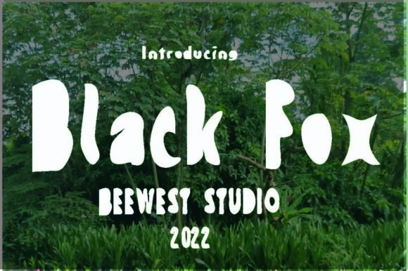 Black Fox: A Display Font That Anchors Editorial Mood
