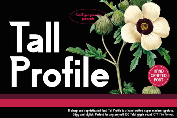 Tall Profile: A Bold Display Font for Digital Branding